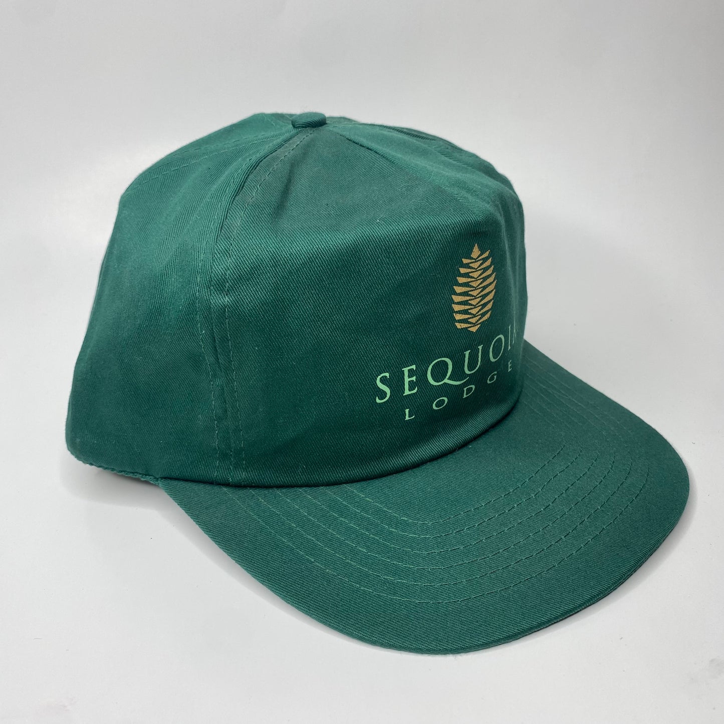 Vintage 90s Disney Paris Sequoia Lodge Hat