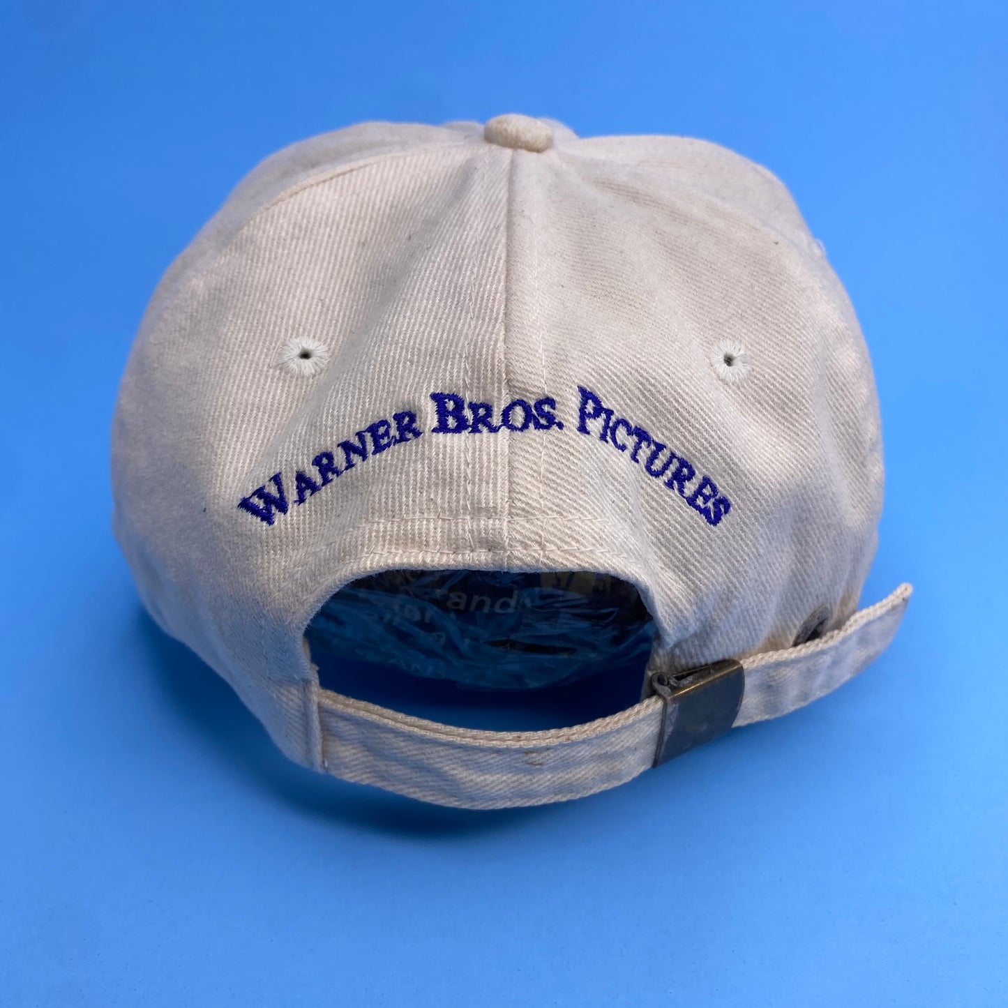 Vintage Warner Bros - Idea Place Hat