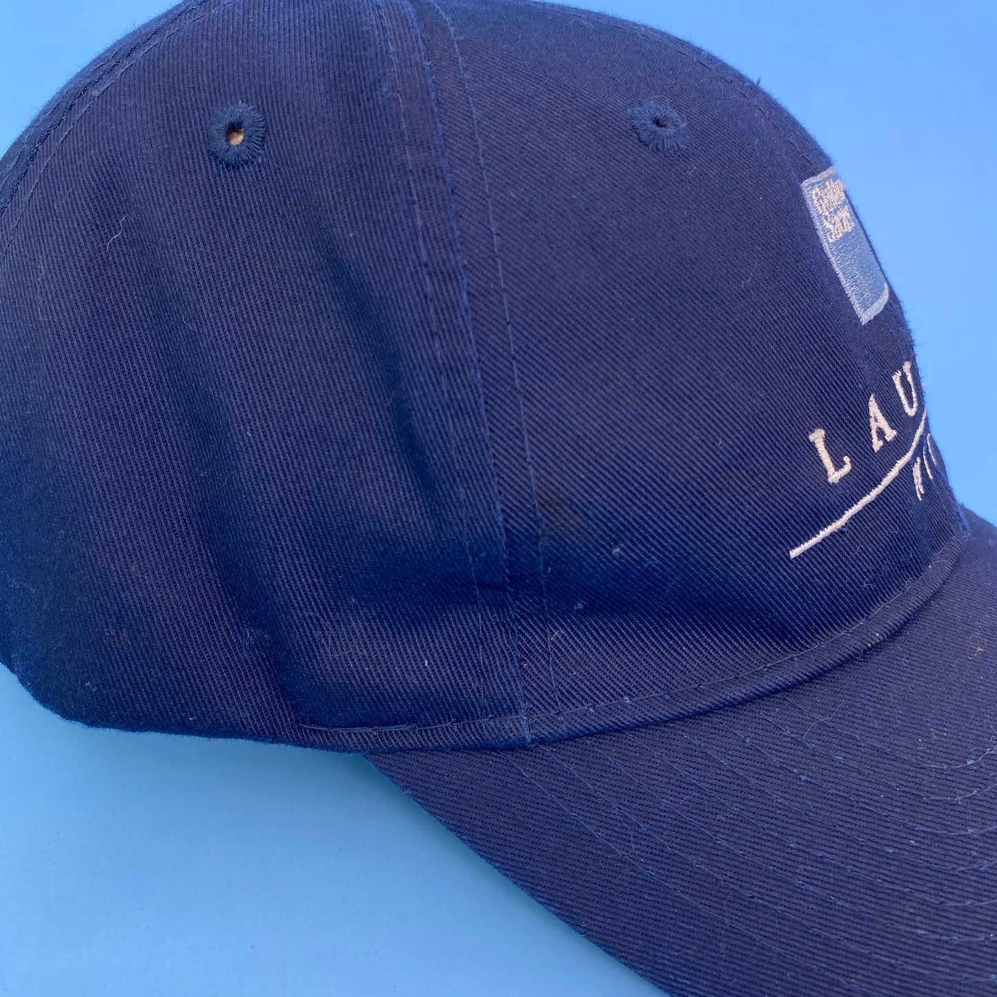 Goldman Sachs Dad Hat